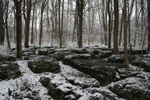 Slaughter Pen at Stones River