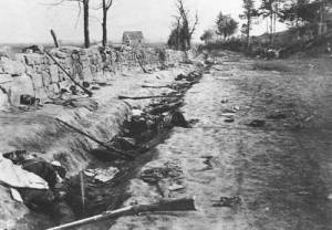 Confederate dead at Marye's Heights