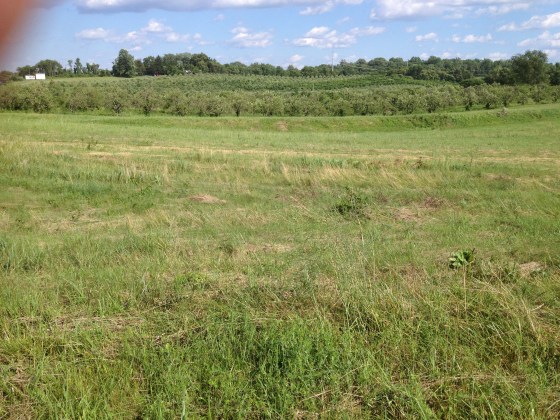 West Fort locations - I was there exactly to the hour - 150 years later - of the Confederate attack