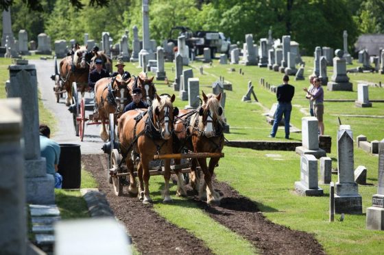cannons moved to Doubleday Hill