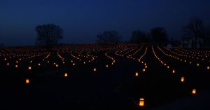 403126_386719458077645_1110853585_n