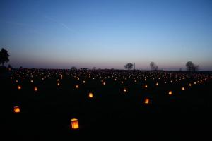 486291_386719408077650_709290097_n